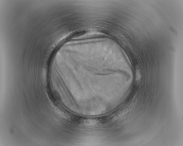 X0000115330444200911301530