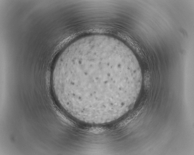 X0000115330445200911301530