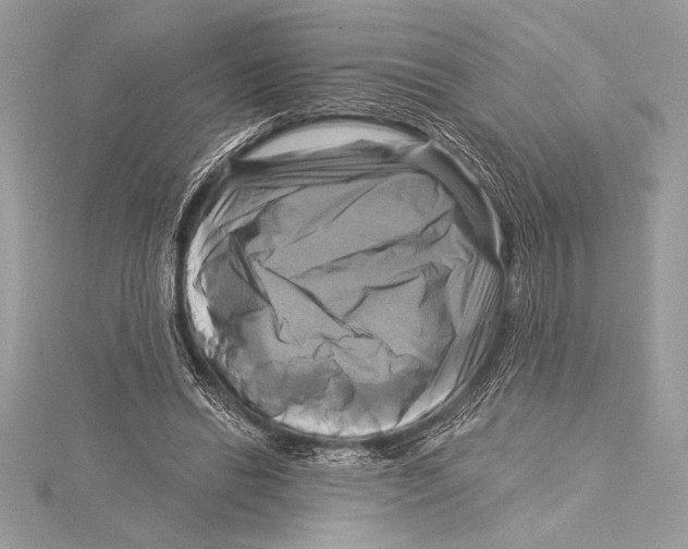 X0000115330446200911301530