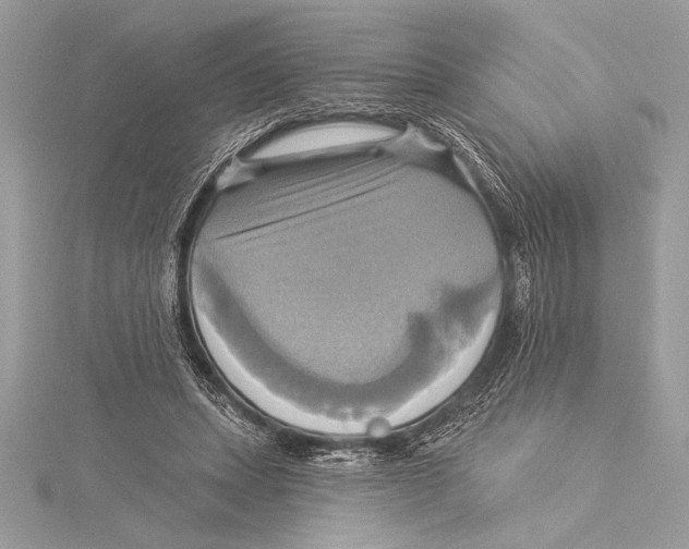 X0000115330447200911301530