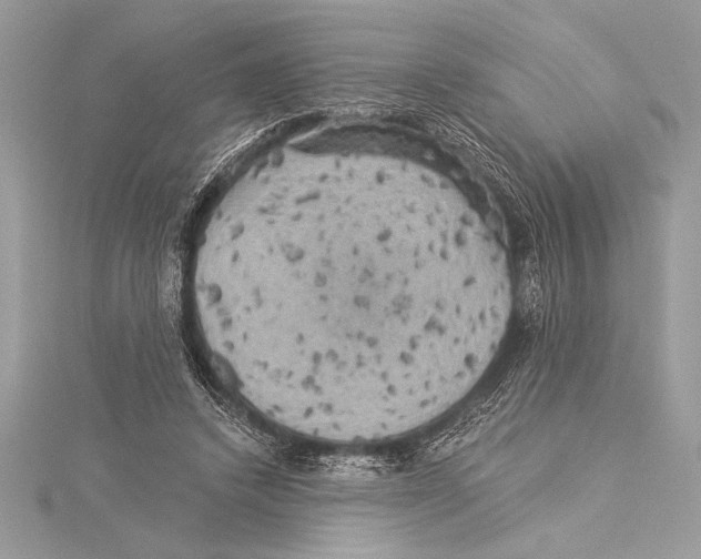 X0000115330448200911301530