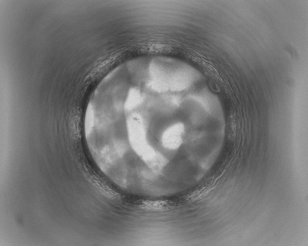 X0000115330450200911301531