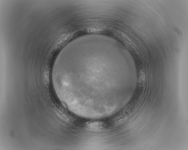 X0000115330452200911301531