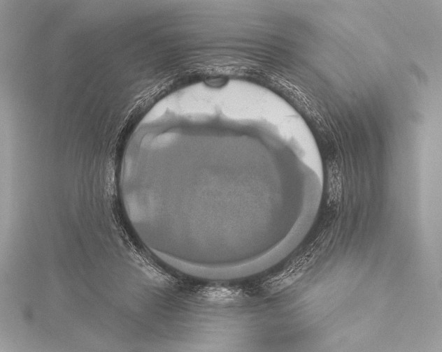 X0000115330453200911301531