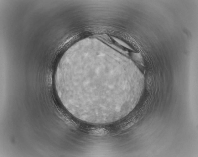 X0000115330454200911301531