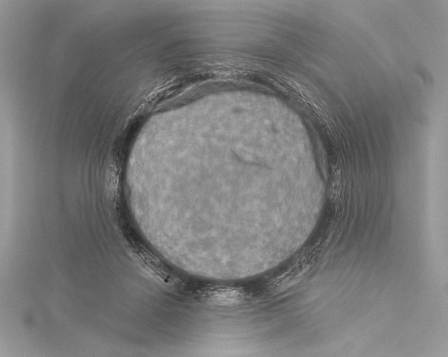 X0000115330456200911301531