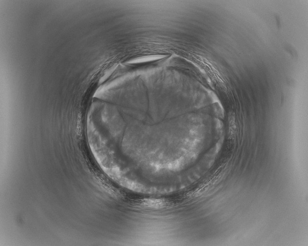 X0000115330457200911301531