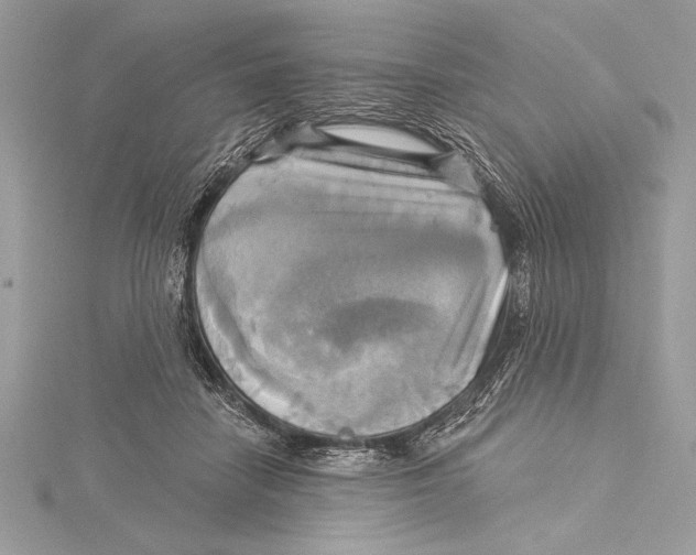 X0000115330458200911301531