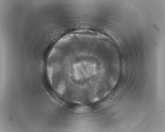 X0000115330459200911301531