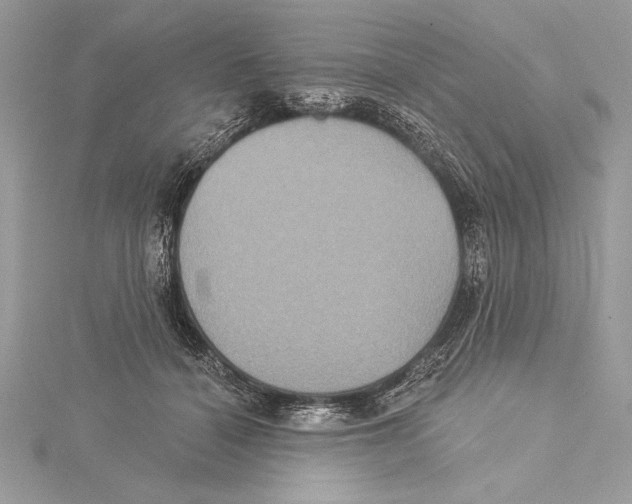 X0000115330460200911301531