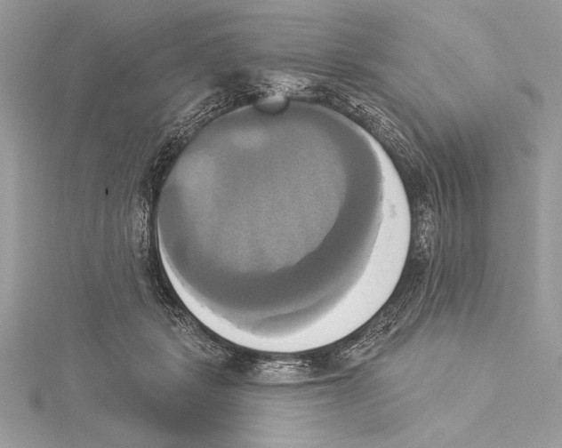 X0000115330461200911301531