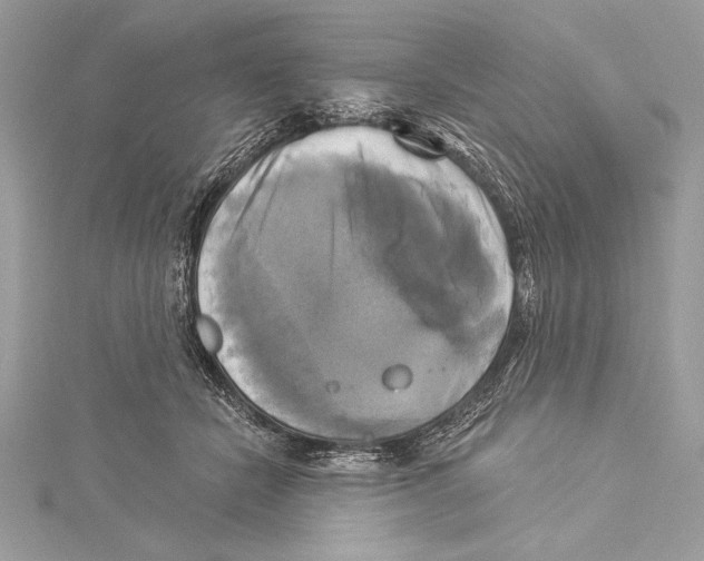 X0000115330462200911301531