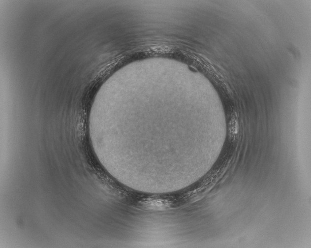 X0000115330464200911301531