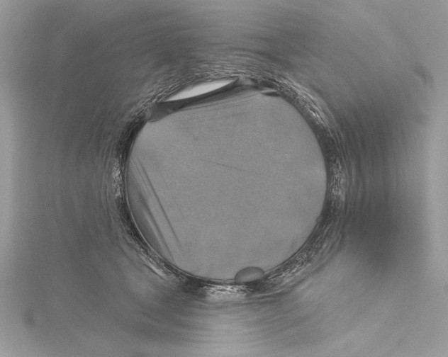 X0000115330465200911301531