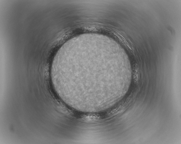 X0000115330466200911301531