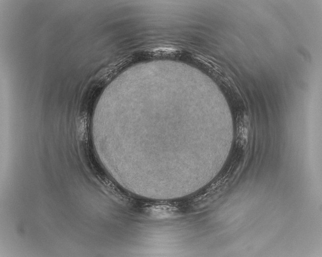 X0000115330468200911301531