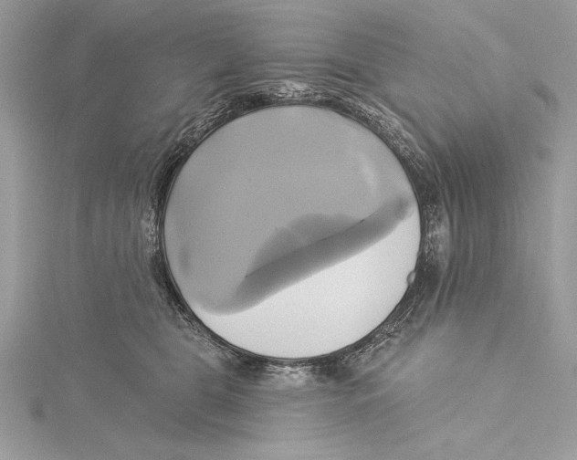 X0000115330469200911301531