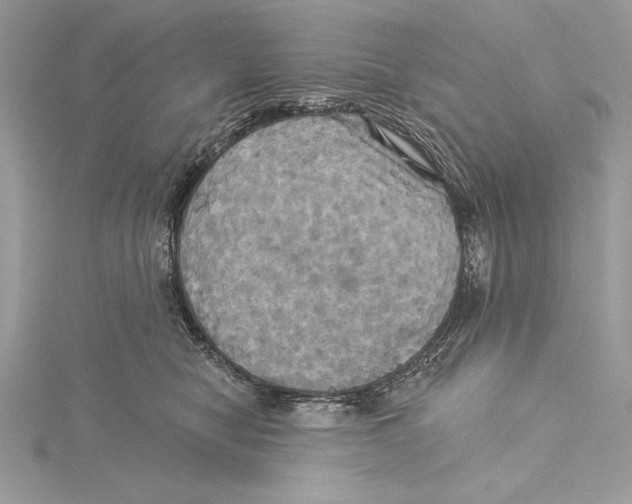 X0000115330470200911301531