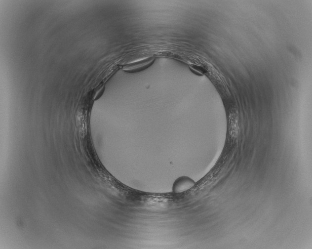 X0000115330471200911301531