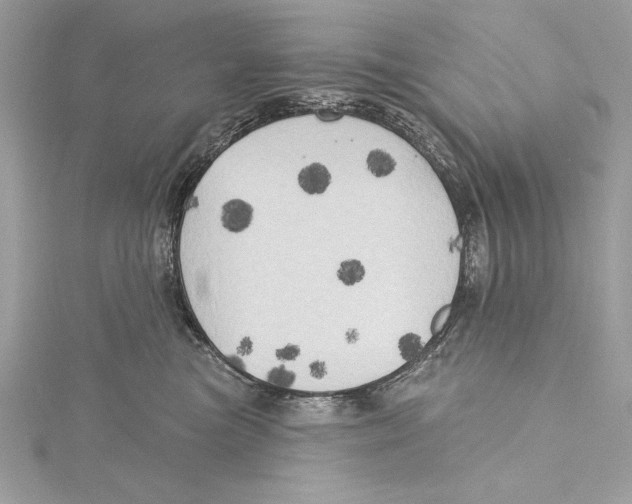 X0000115330473200911301531