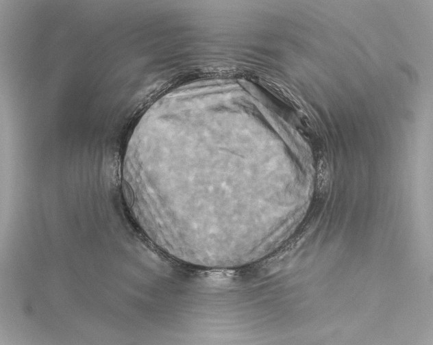 X0000115330474200911301531