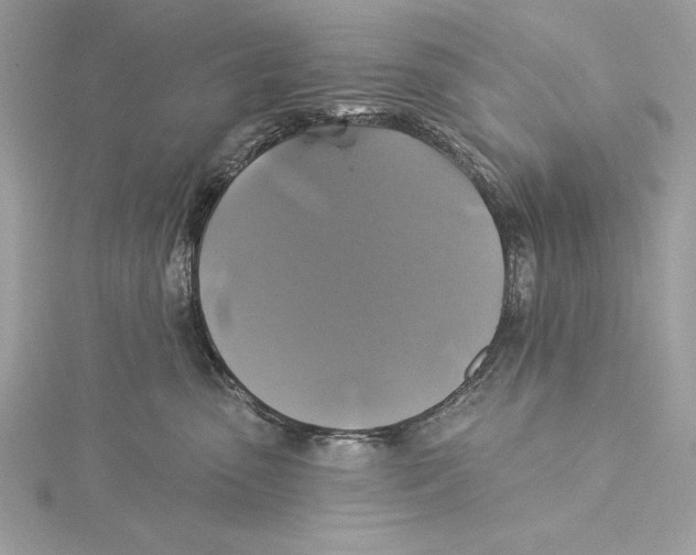 X0000115330475200911301531