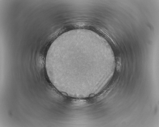 X0000115330476200911301531