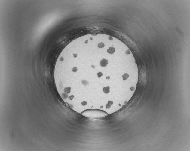 X0000115330477200911301531