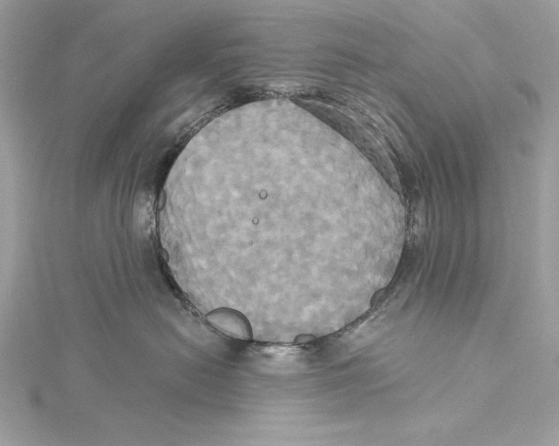 X0000115330478200911301531