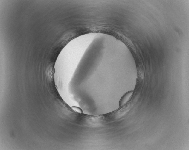 X0000115330479200911301531