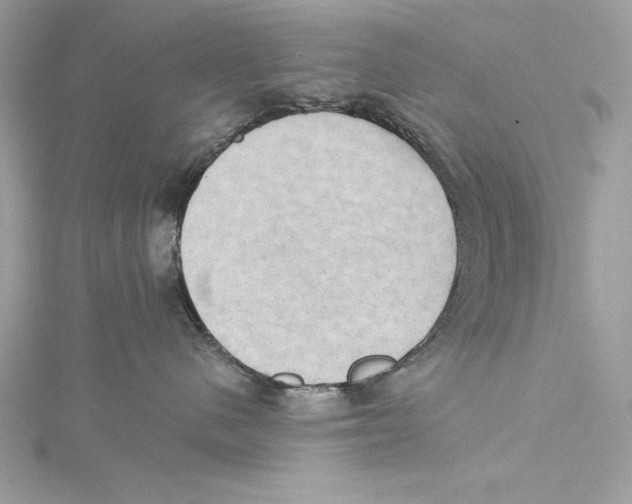 X0000115330480200911301531