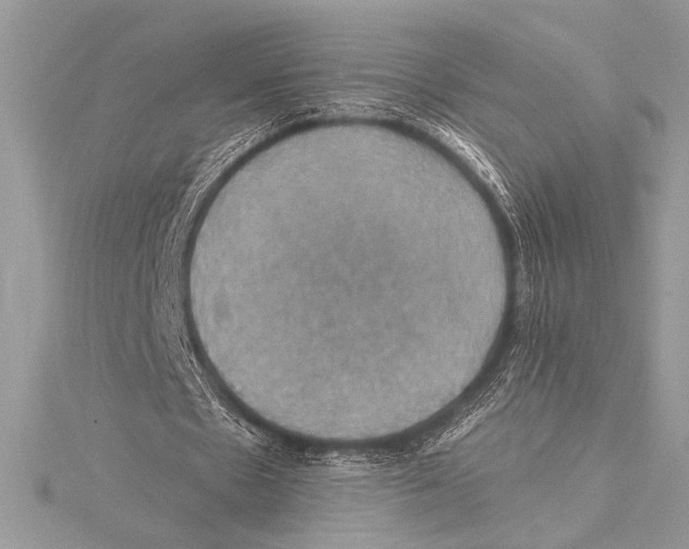 X0000115330481200911301530