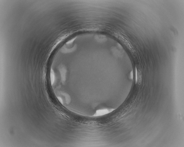 X0000115330483200911301530