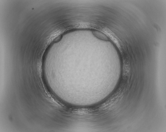 X0000115330485200911301530