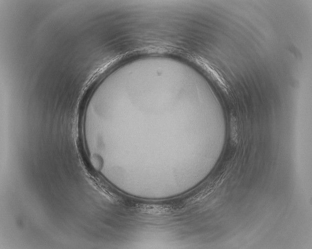 X0000115330486200911301530