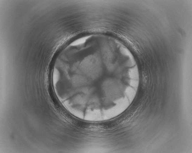 X0000115330487200911301530