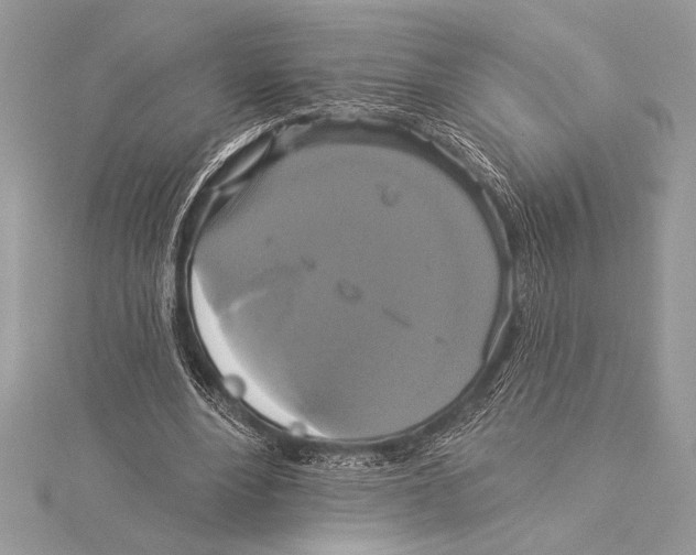 X0000115330488200911301530