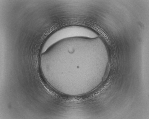 X0000115330489200911301530