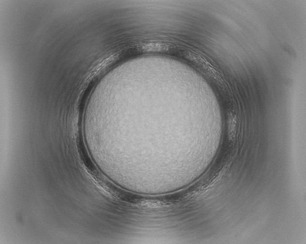 X0000115330490200911301530