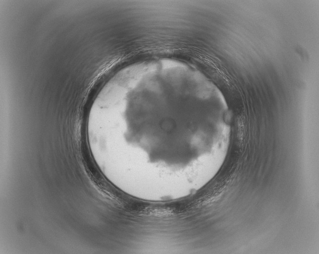 X0000115330491200911301530