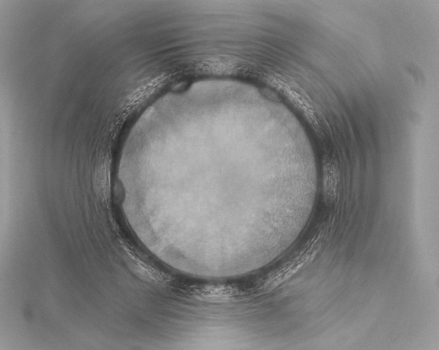 X0000115330493200911301530