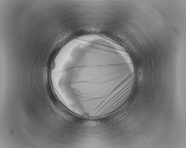 X0000115330494200911301530