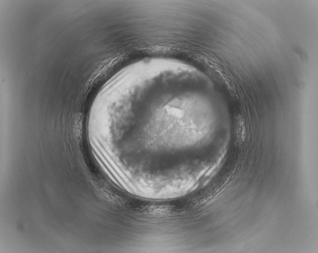 X0000115330495200911301530