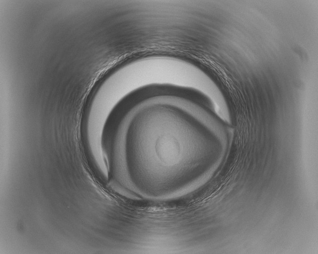 X0000115330496200911301530