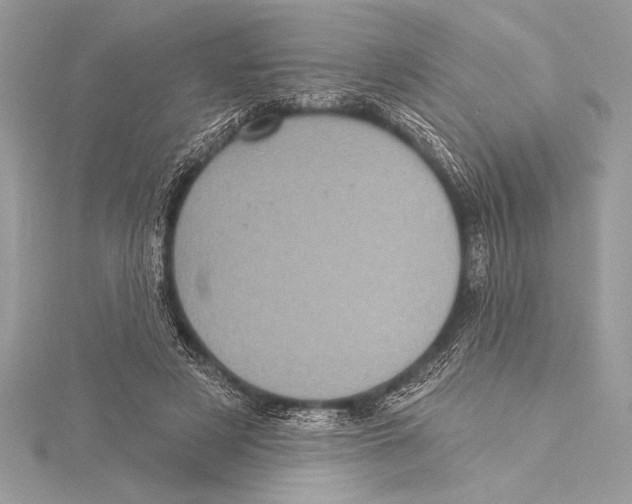 X0000115330497200911301530