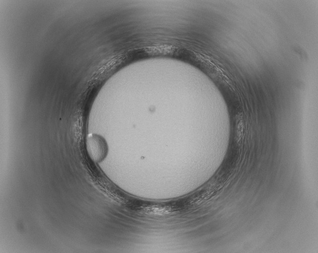 X0000115330498200911301530