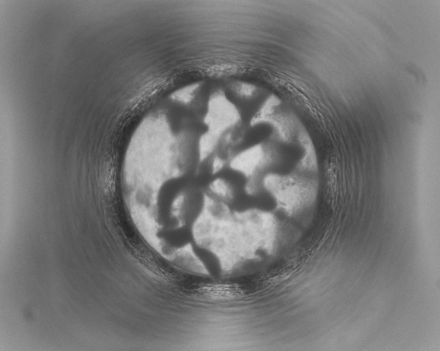 X0000115330499200911301530