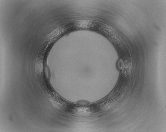 X0000115330500200911301530