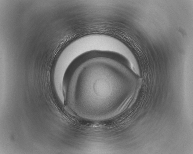 X0000115330504200911301530