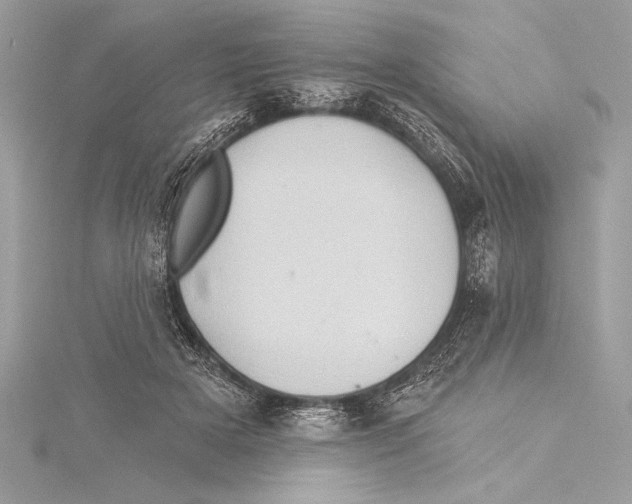 X0000115330505200911301530